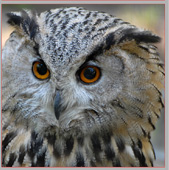 Vogelpark