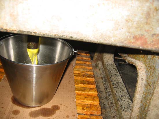 spreewaldreise_2010_33