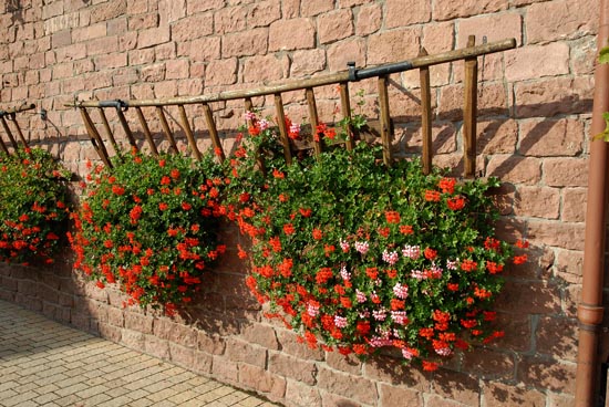 fahrt_ins_blaue_2010_18