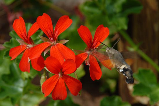 fahrt_ins_blaue_2010_19