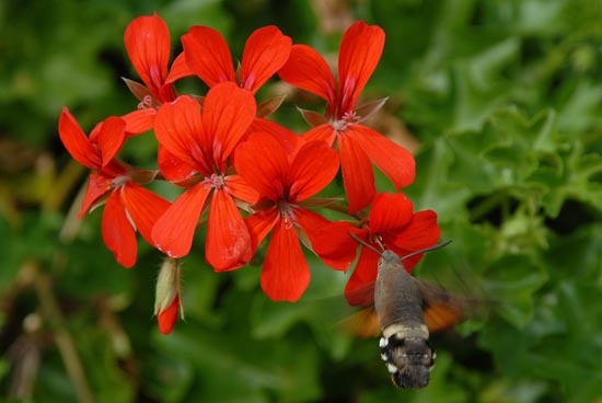 fahrt_ins_blaue_2010_20