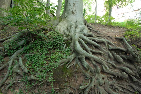 fahrt_ins_blaue_2010_55