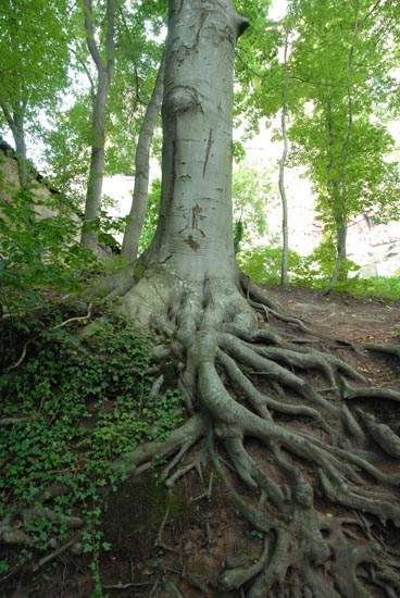 fahrt_ins_blaue_2010_56