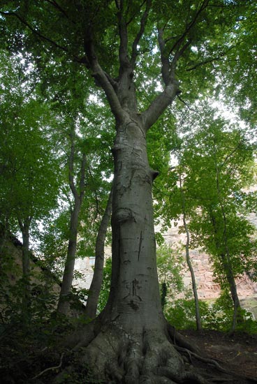 fahrt_ins_blaue_2010_57