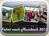 mussbach_2013_00