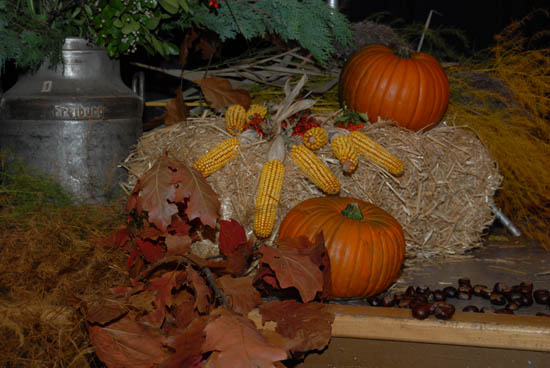 herbstball_sgv_2008_07