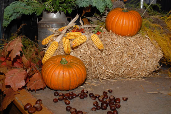 herbstball_sgv_2008_10