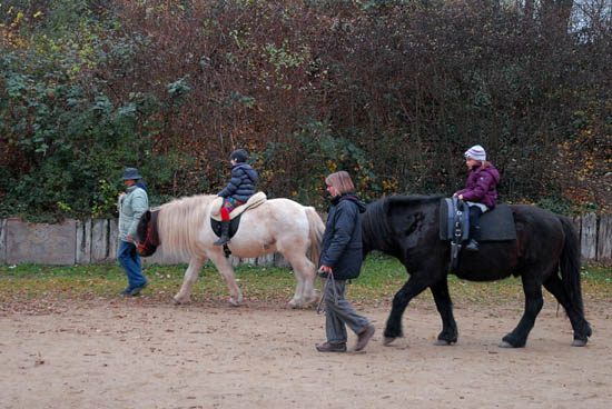 sgv_nikolaus_2011_08