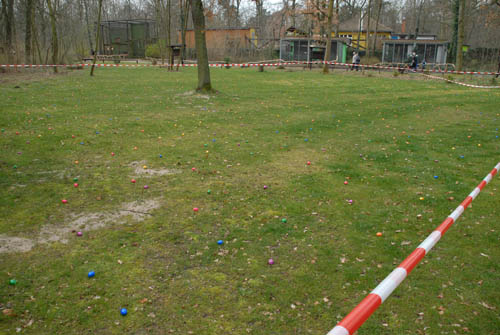 08_feld_ostern_2008_01