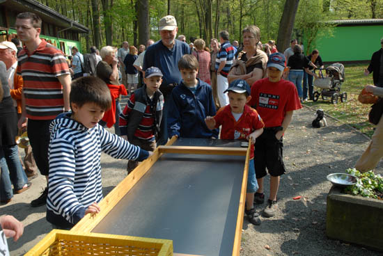 05_scheibe_ostern_2009_4