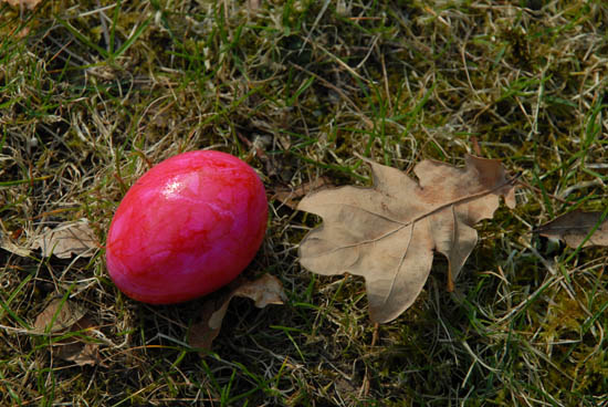 06_sgv_ostern_2009_09