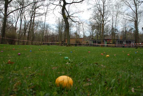 ostern_2010_17