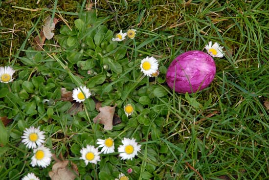 ostern_2010_36