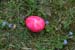 ostern_2011_06