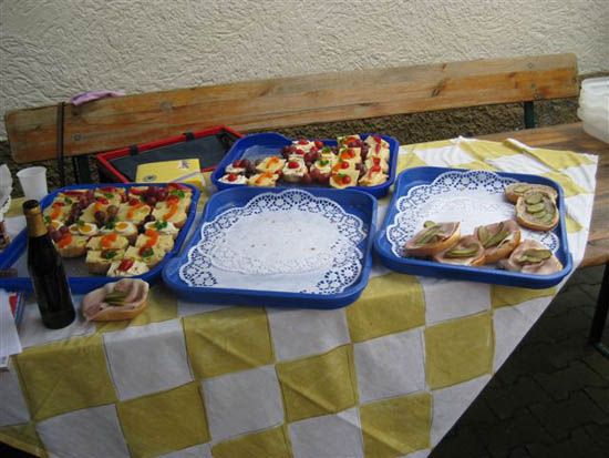 putz_deine_stadt_raus_2009_14