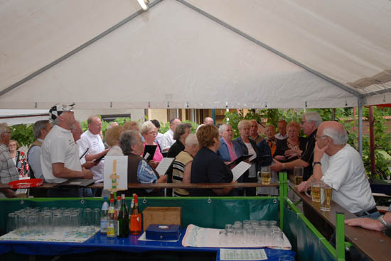 strassenfest_2009_15