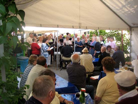 strassenfest_2010_07