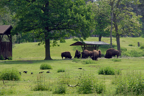 sgv_vatertag_2009_33